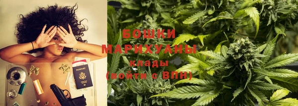 соль ск Верхний Тагил