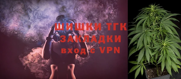 соль ск Верхний Тагил